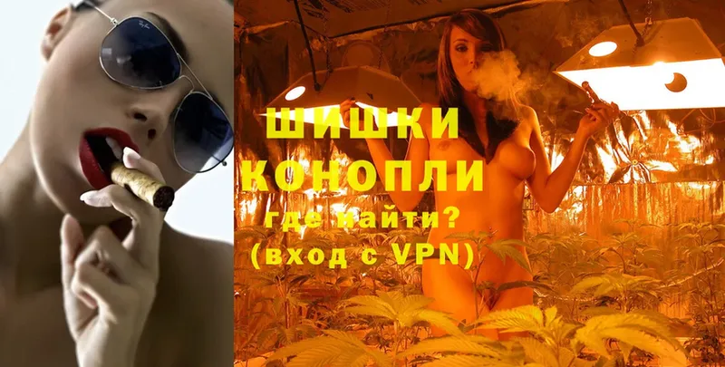 как найти   Тайга  Каннабис White Widow 